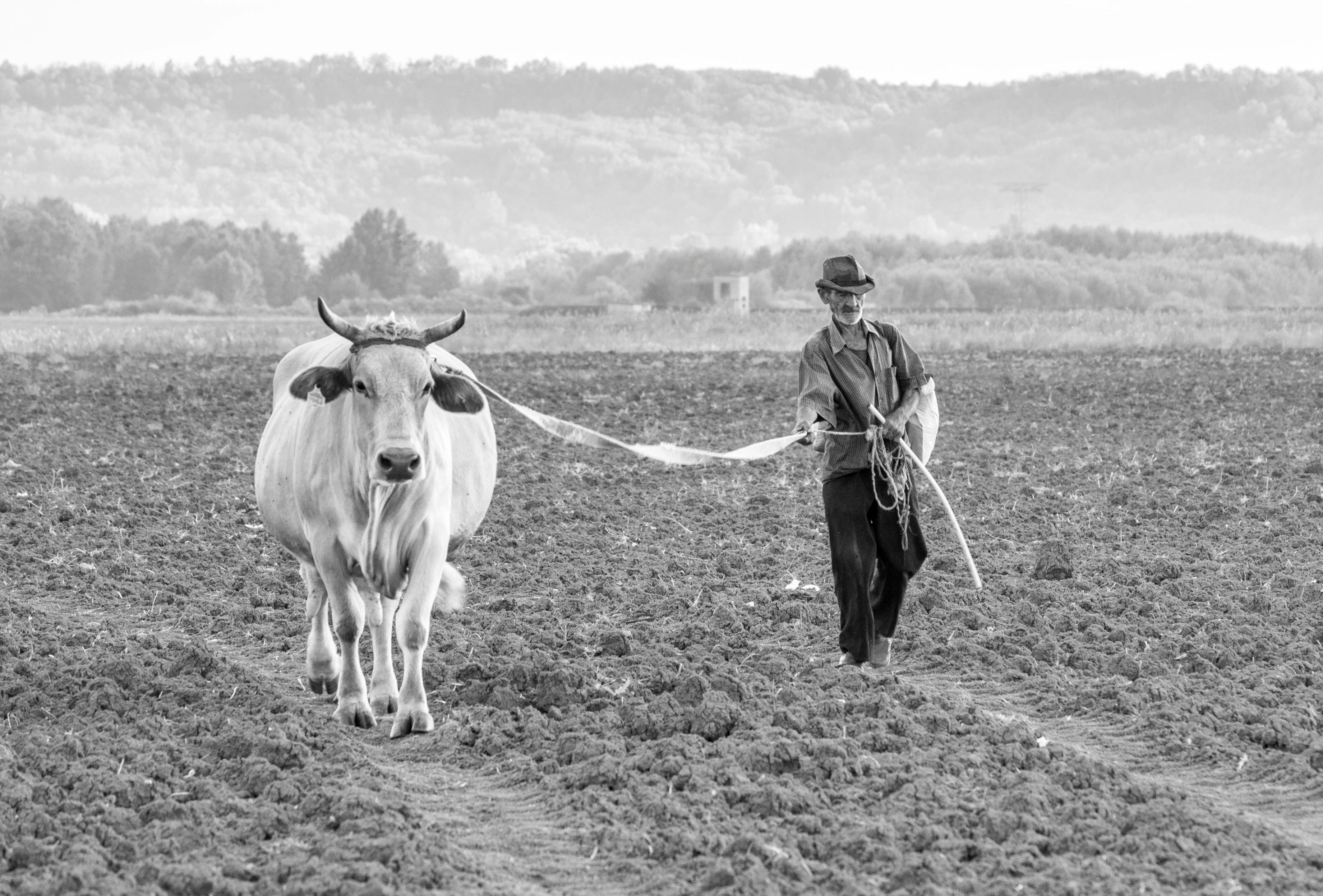 COMMISSIONE EUROPEA PRESENTA UFFICIALMENTE LA "STRATEGY FOR GENERATIONAL RENEWAL IN AGRICULTURE" - IL PACCHETTO MISURE VOLTO AD INCENTIVARE IL RICAMBIO GENERAZIONALE IN AGRICOLTURA