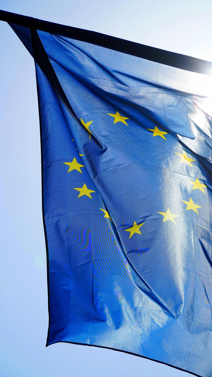PREVENZIONE E CONTROLLO MALATTIE ANIMALI - NUOVO REGOLAMENTO DELLA COMMISSIONE EUROPEA