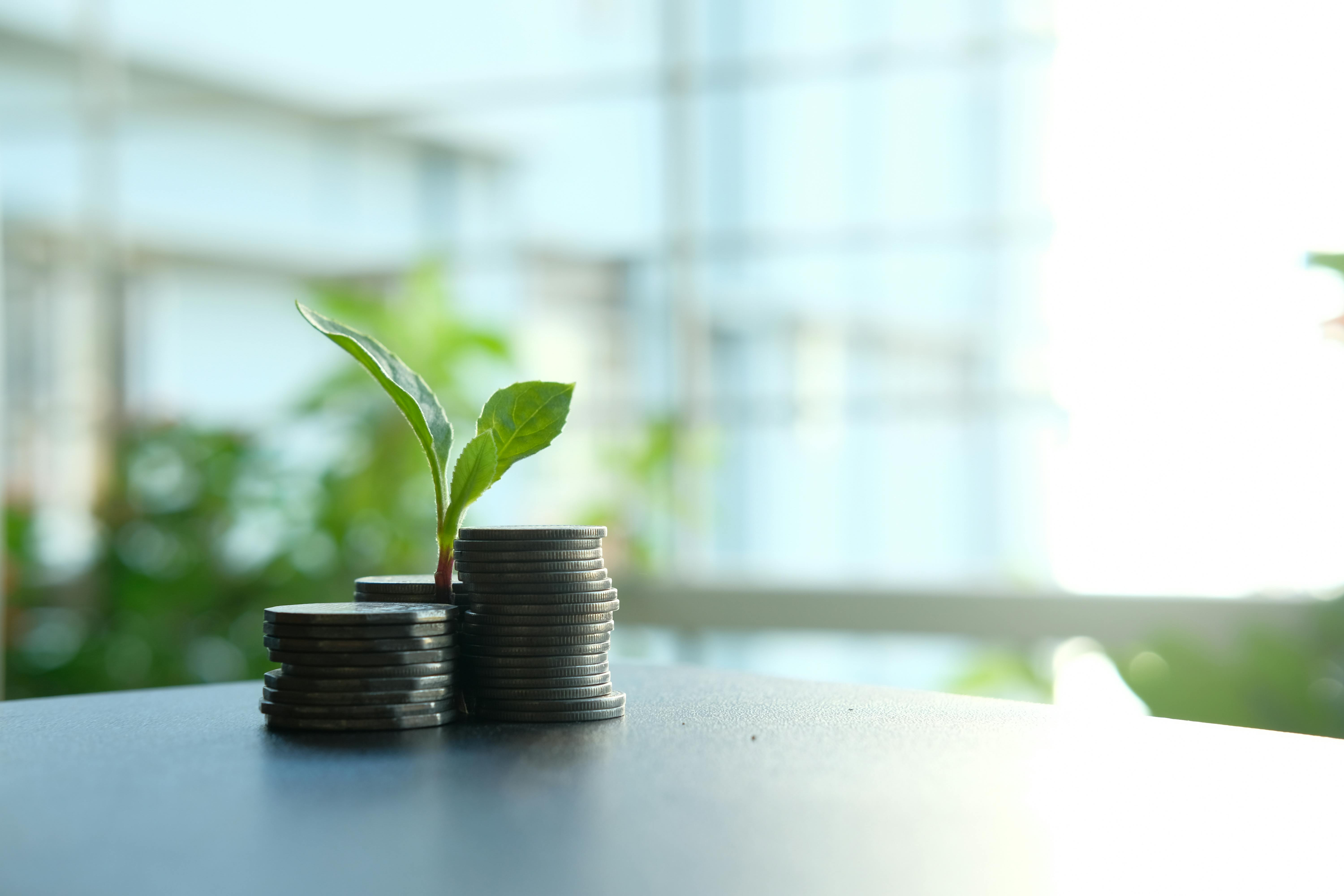 MIMIT RENDE UFFICIALMENTE DISPONIBILE IL DM ATTRAVERSO IL QUALE DA IL VIA AL BANDO INVESTIMENTI SOSTENIBILI 4.0 PER IL RAFFORZAMENTO DELLA CRESCITA GREEN DELLE PMI