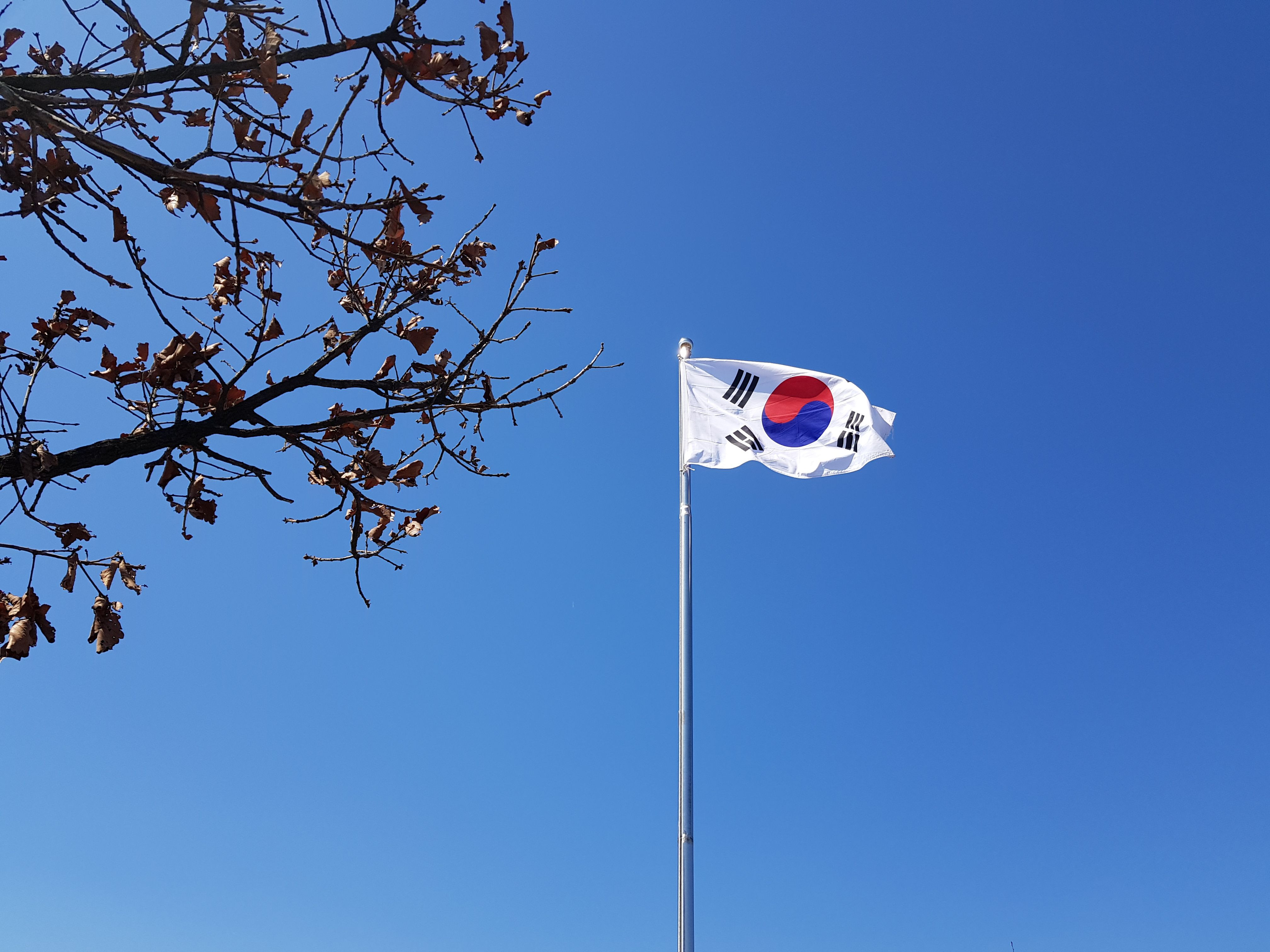 UE-COREA: DOSSIER CARNI BOVINE, DAL RILANCIO DEL VERTICE DI BRUXELLES ALLA RICHIESTA DELLA PRESIDENTE MELONI E ALL'IMPEGNO DEL PRESIDENTE COREANO