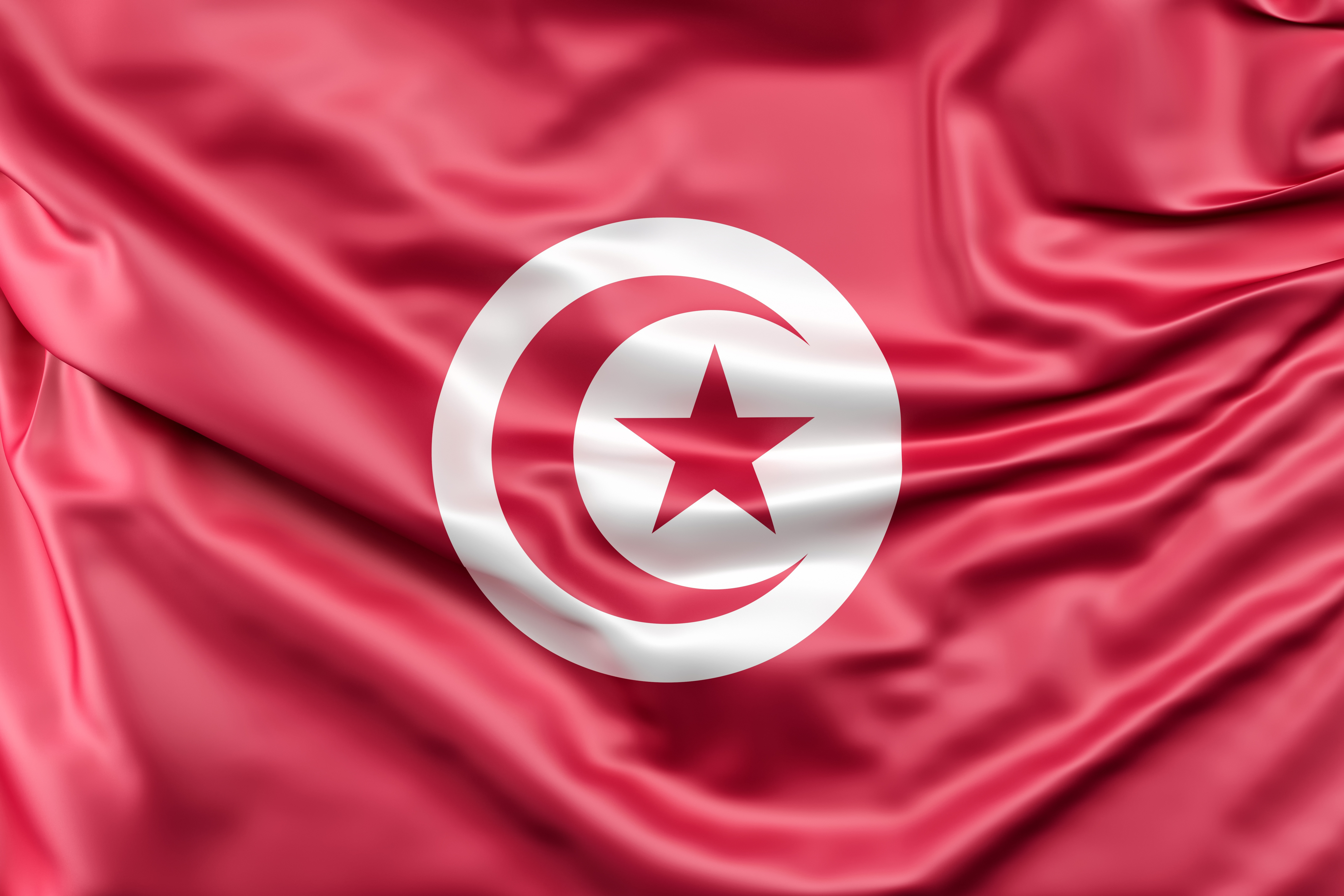 ESPORTAZIONE BOVINI VIVI DALL'ITALIA VERSO LA TUNISIA - TRASMISSIONE CERTIFICATI SANITARI